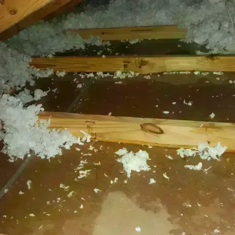 Attic Water Damage in Gideon, MO