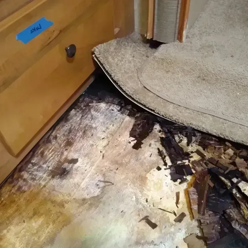 Wood Floor Water Damage in Gideon, MO